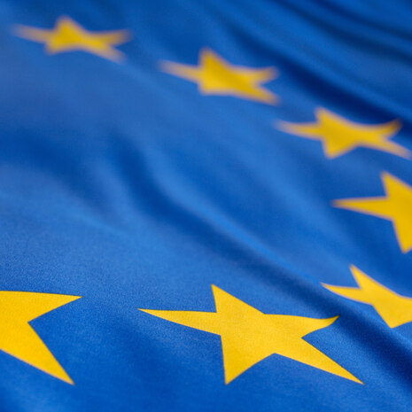 Europafahne