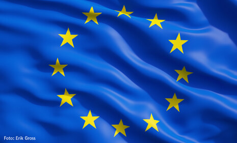  Zu sehen ist die Europafahne